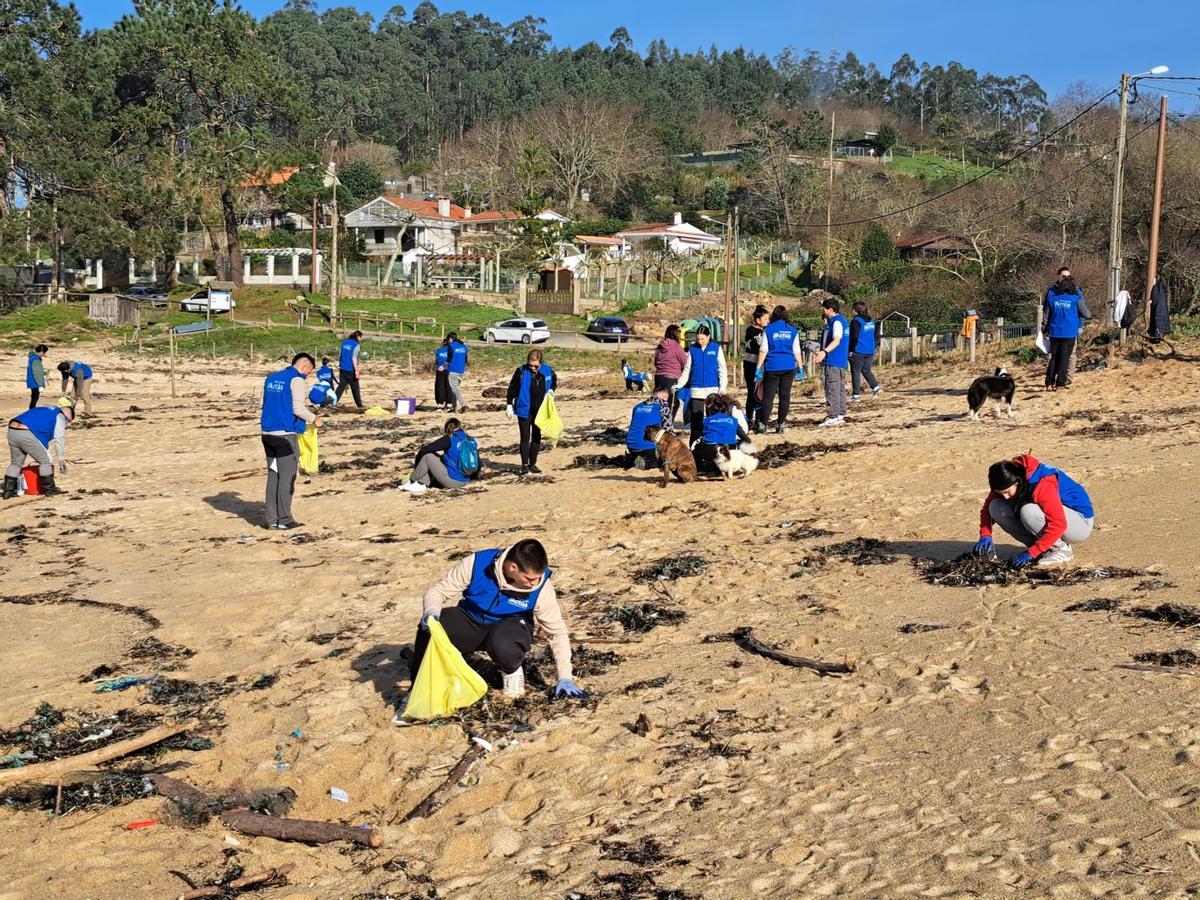 La limpieza de la playa de Area de Bon, en Bueu, en imágenes (II)