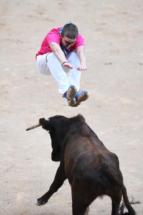 Corre de bou de Cardona