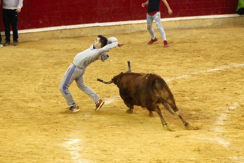 Vaquillas del 9 de octubre