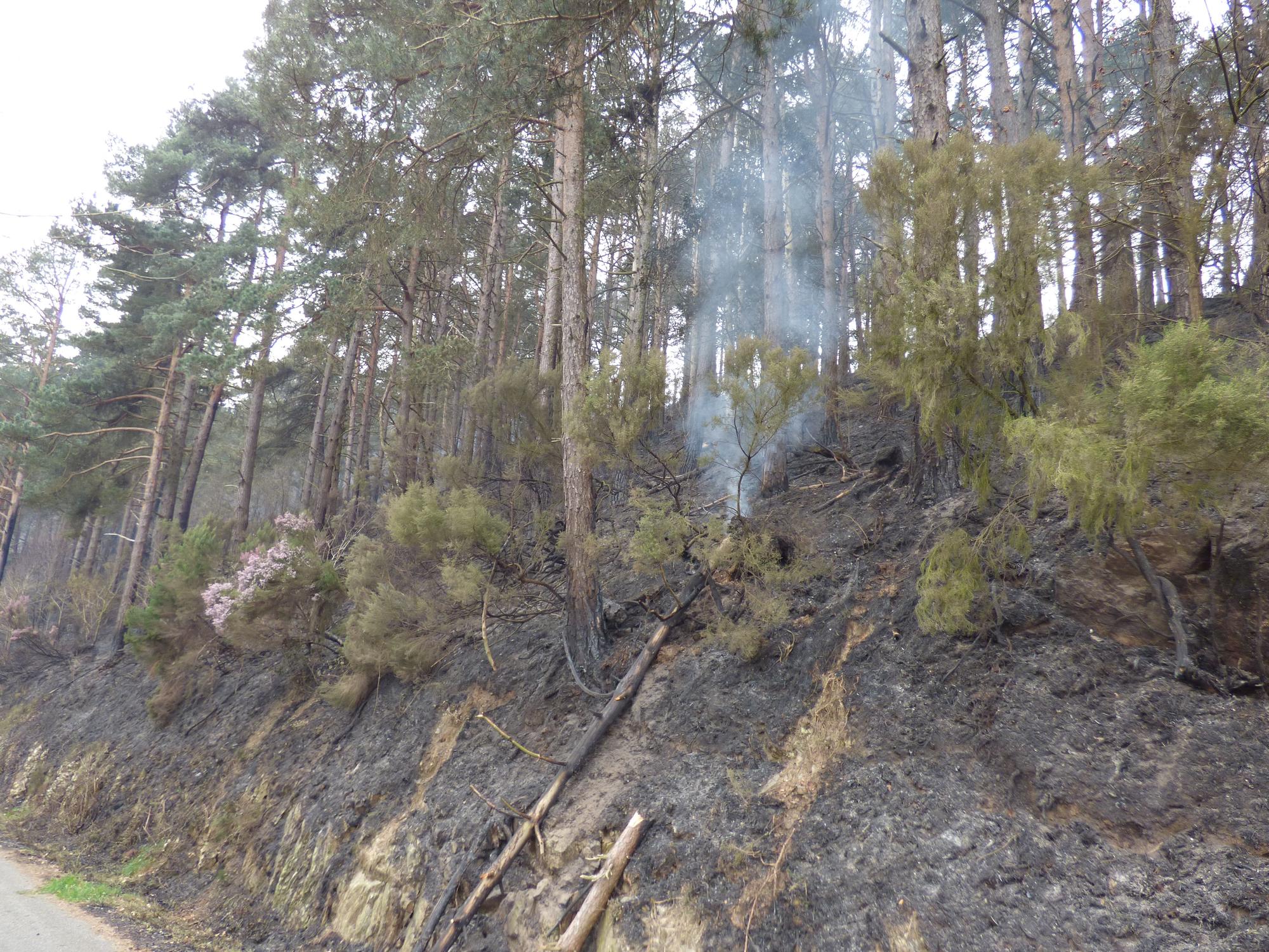 La lucha contra el fuego en los concejos de Tineo y Allande