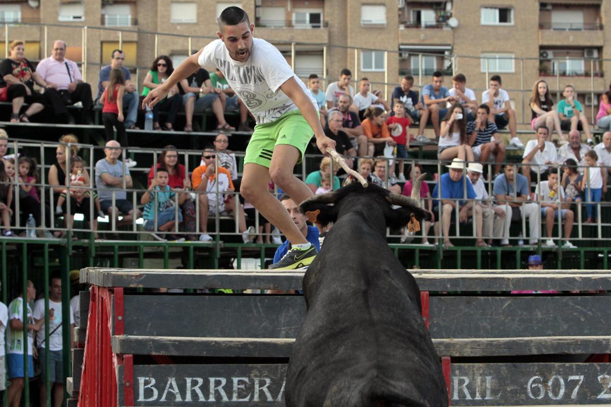Bous al carrer en Xirivell, en el año 2013