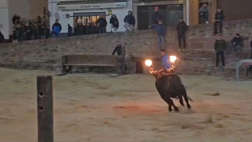 Vídeo: Salva in extremis una cogida de un 'bou embolat' en Castellón