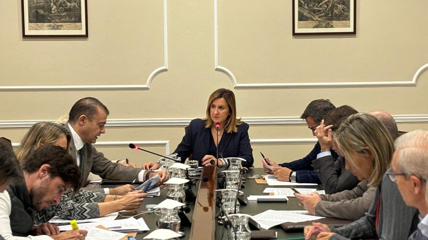 Catalá pide al Gobierno que considere toda la ciudad de València zona afectada por la dana