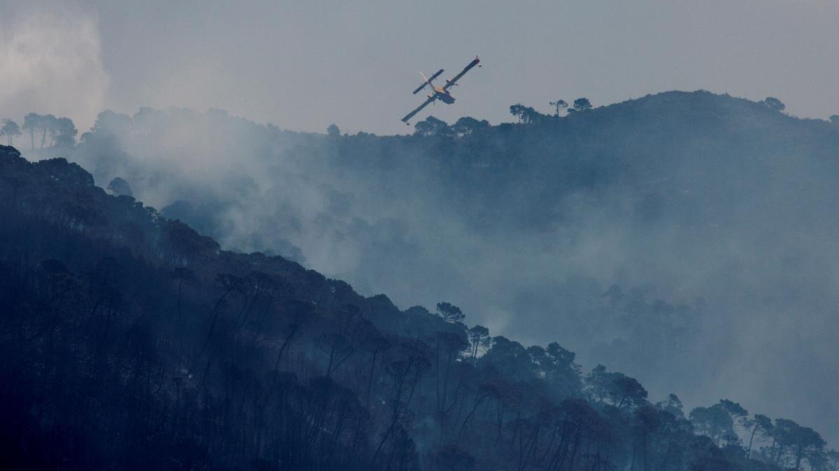 El incendio de Jubri (117532444).jpg