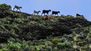 El Valle del descanso indígena