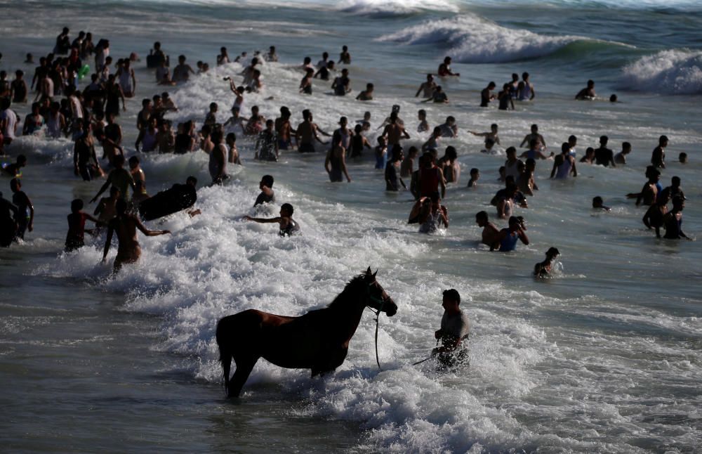 Palestinos y caballos se refrescan en el mar.