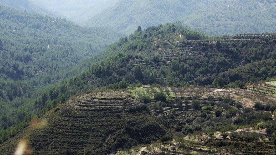 Rescatan a una parapentista tras caer cerca de la cumbre de Coll de Rates