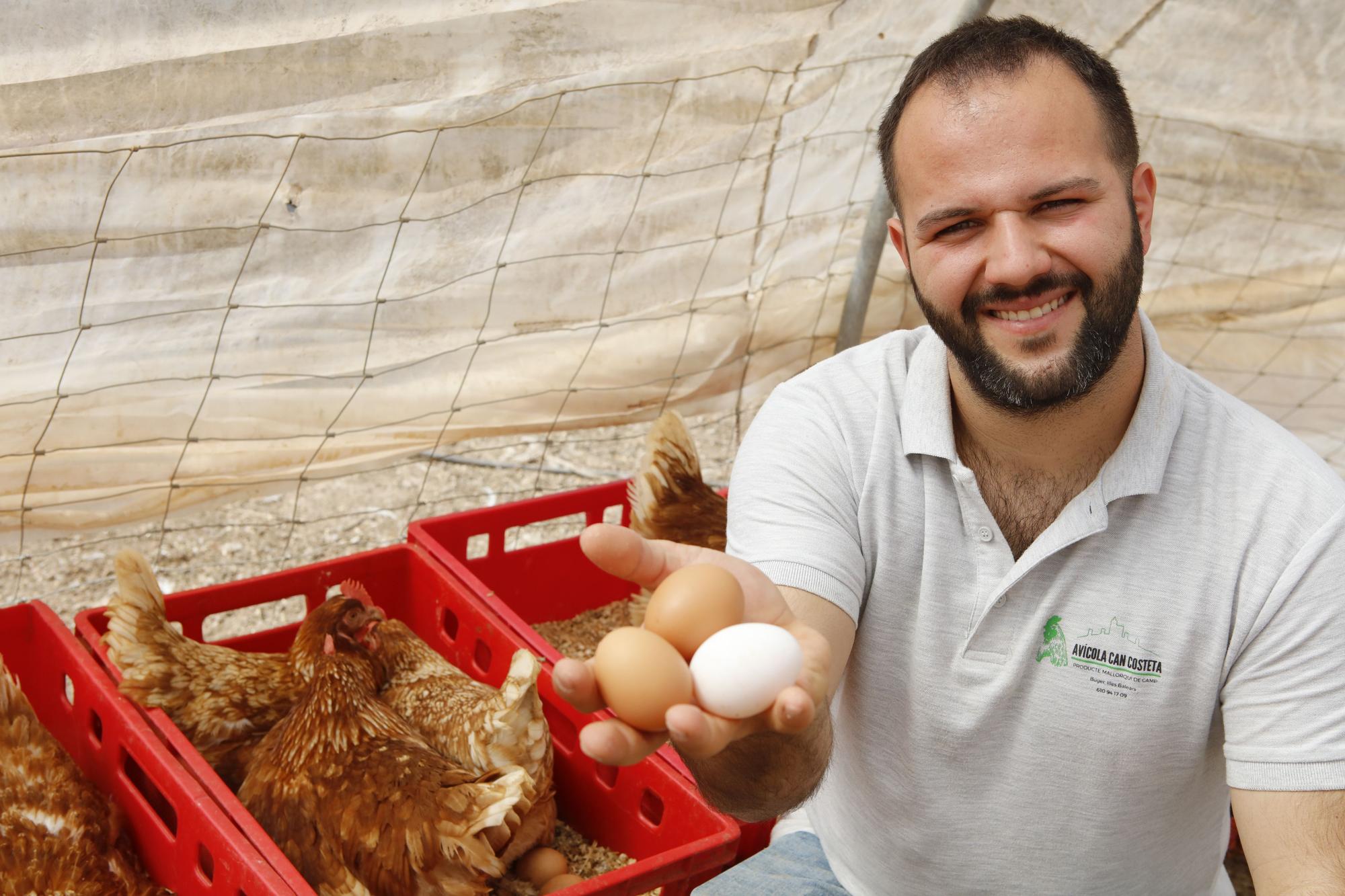 Finca Can Costeta auf Mallorca: Hier wachsen Hühner und Hähne im Freien auf