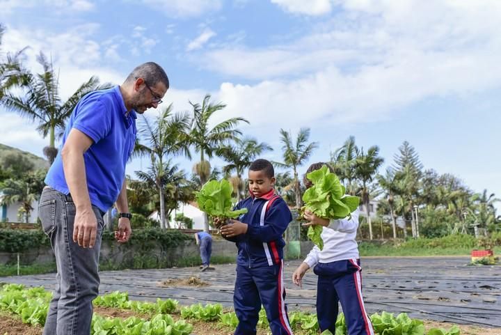 Visita escolar a la Granja Agricola del Cabildo