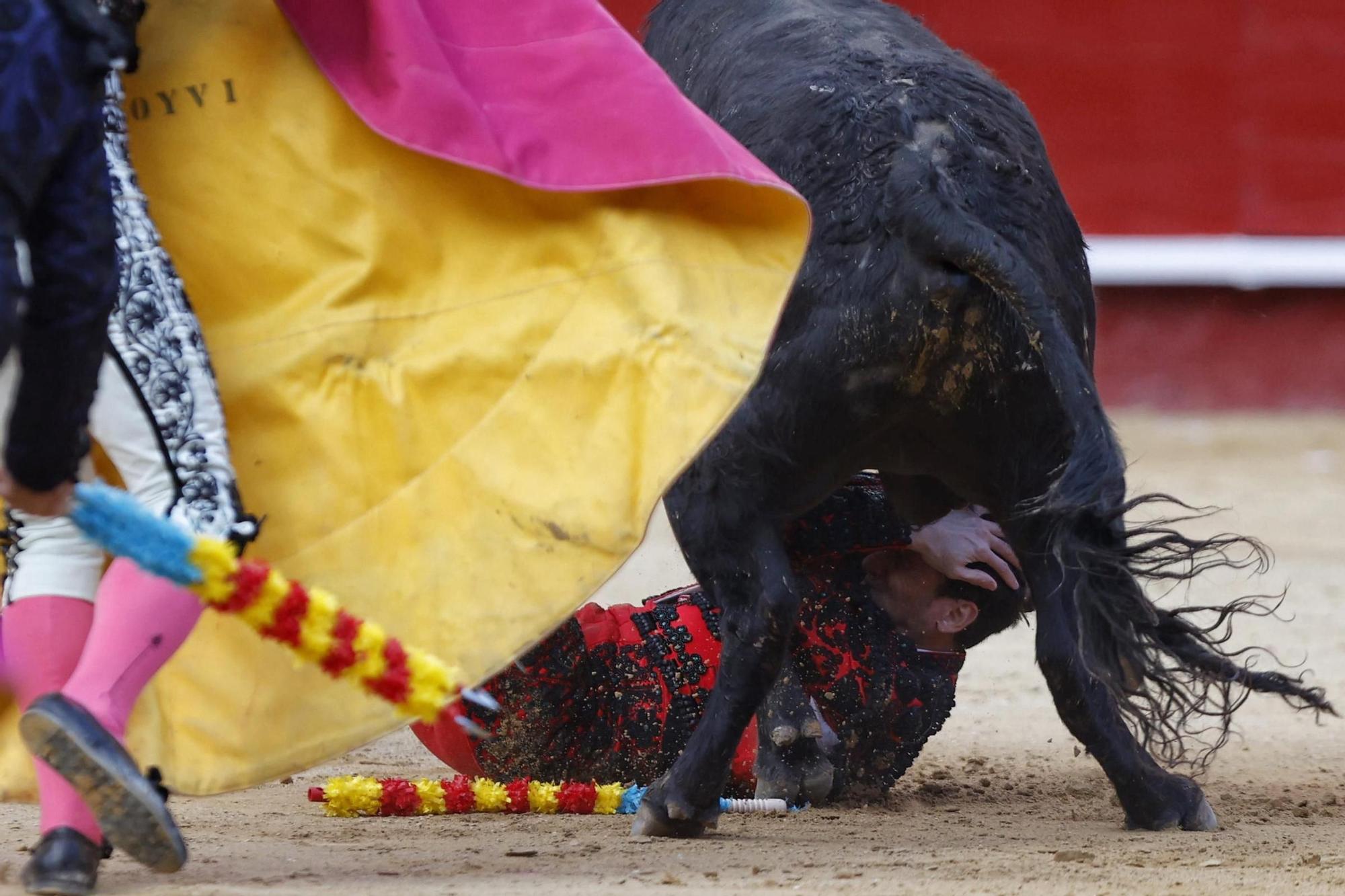 La novillada sin picadores de la Feria de Fallas, en imágenes
