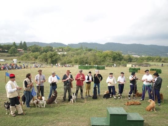 Concurs de gossos d''atura de Castellterçol