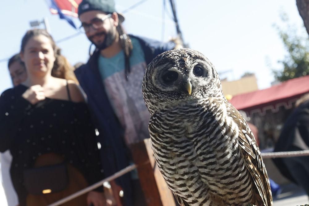 El Mercado Medieval vuelve a Córdoba