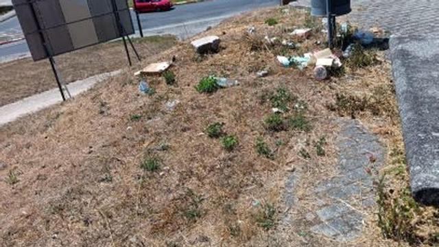 Basura en un entorno.  |
