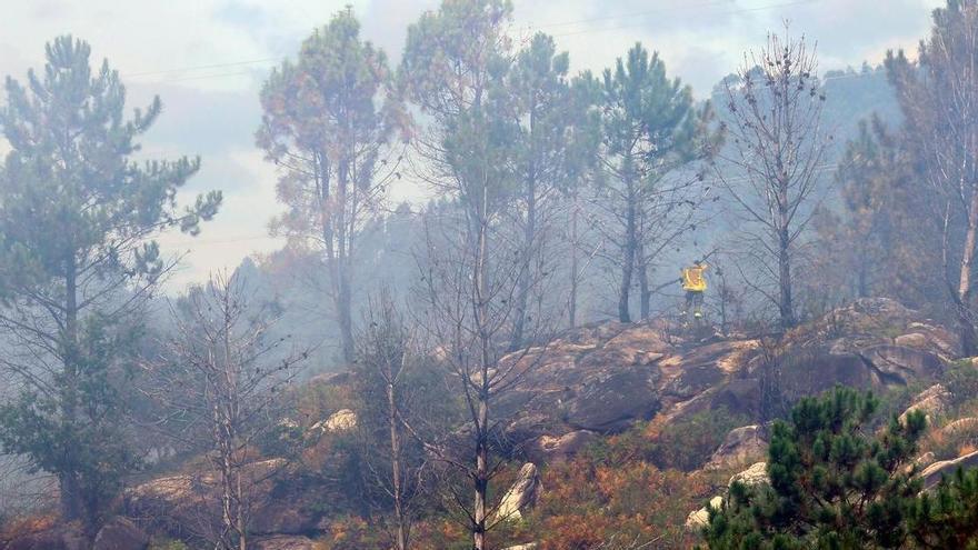 Pontevedra abarata la limpieza de las franjas secundarias: 420 euros la hectárea con Seaga