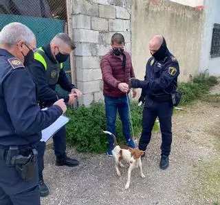 Liberan a los perros de la rehala ilegal de Xàtiva