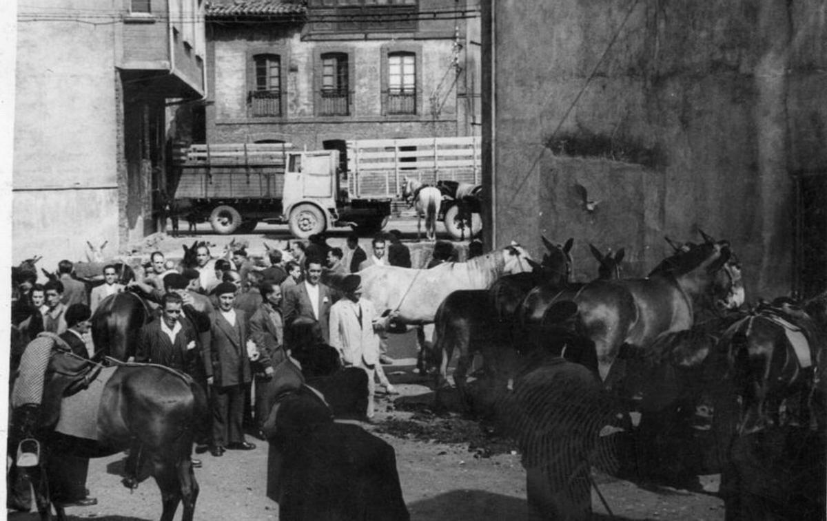 Un aspecto del mercado de ganados, que se mantuvo hasta mediados los años 60. |  Imágenes cedidas por José Ramón Viejo, fotógrafo mierense e investigador de la historia gráfica del concejo