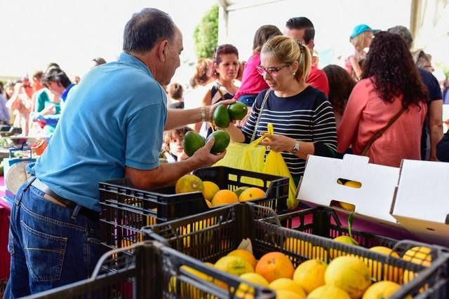 II Feria del Aguacate en Arguineguín