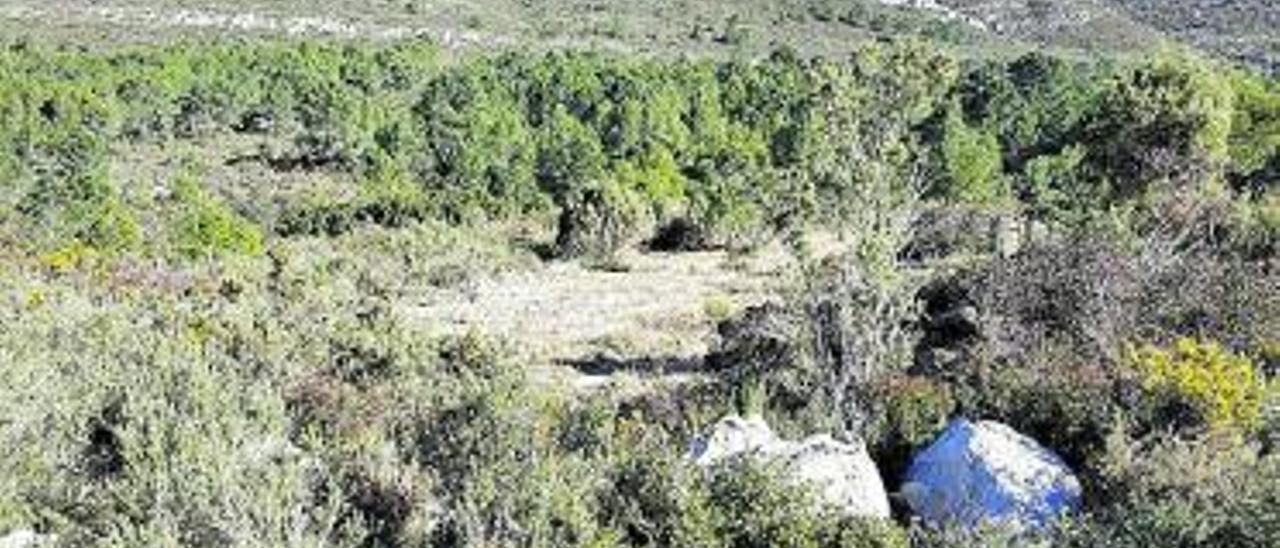 El paraje del Pla de Barber, en Benifairó de la Valldigna. | LEVANTE-EMV