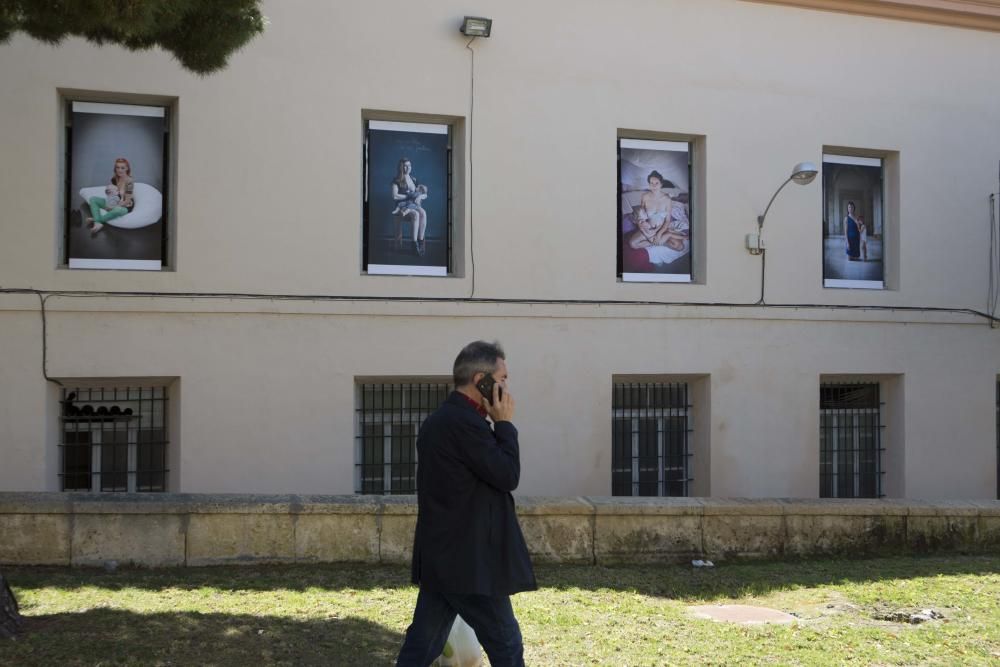 PhotoAlicante bate su récord de intervenciones urbanas y saca a la calle los proyectos de 14 artistas entre Alicante y Sant Joan.