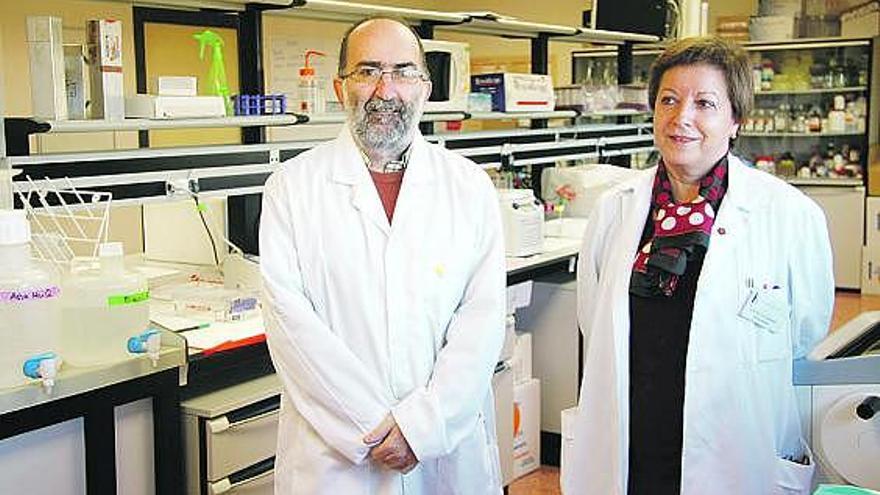 Carlos Rodríguez y Mari Luz Lamelas, en el laboratorio de Projech, en dependencias del Hospital de Jove.