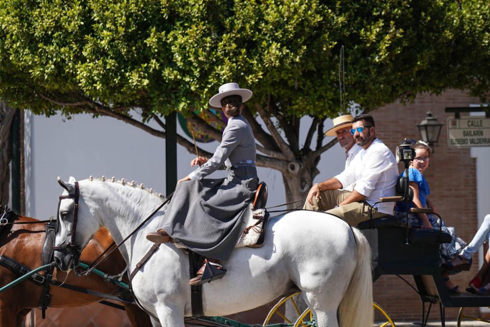 Primeros caballos en el Cortijo de Torres