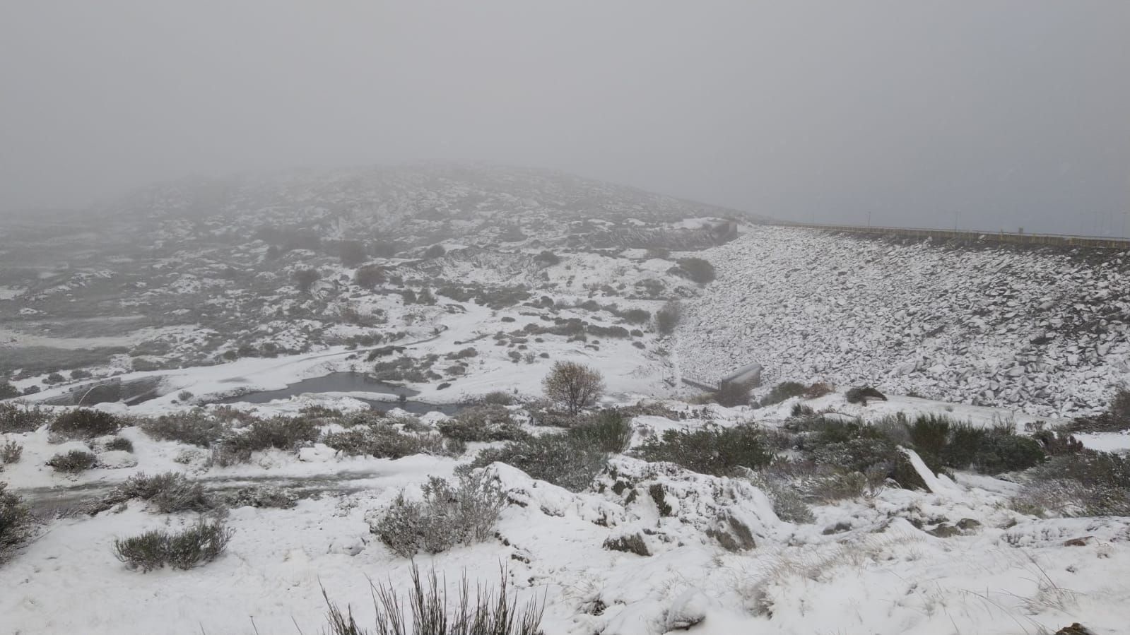 La nieve vuelve a teñir de blanco las cumbres de la Sierra Segundera.
