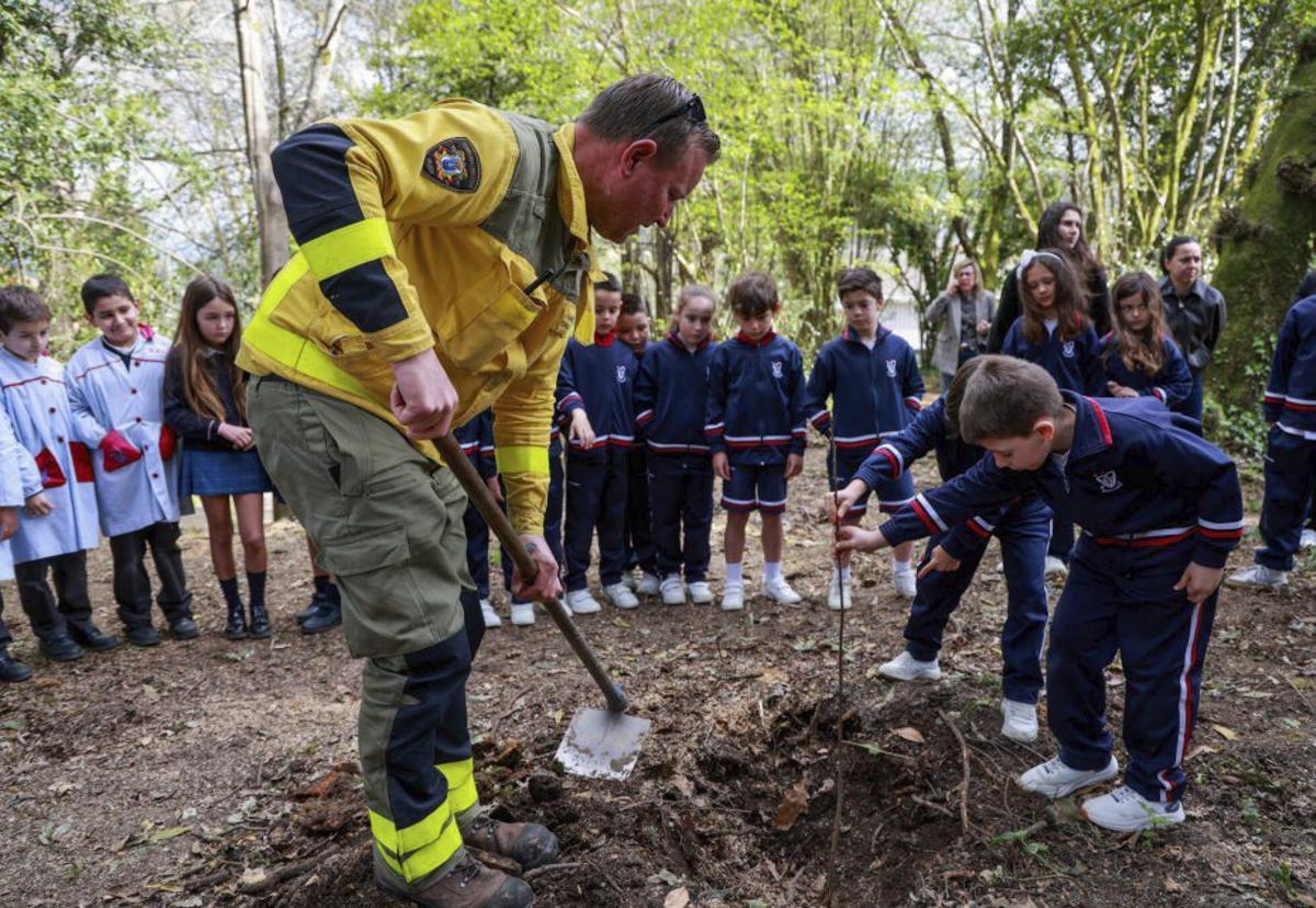 Un momento de la plantación de uno de los árboles. | IÑAKI ABELLA