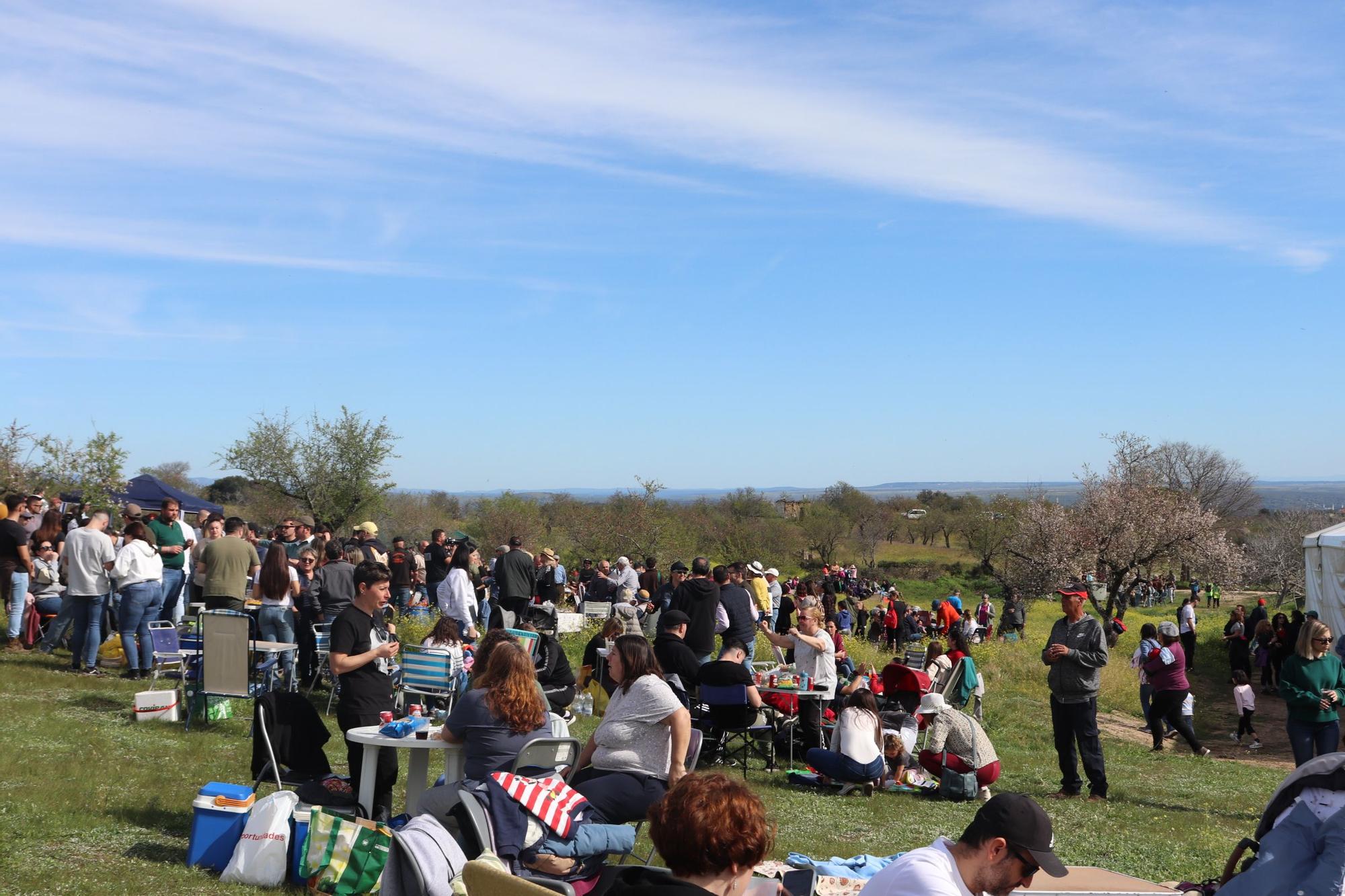 El Almendro en Flor reúne a 2.000 participantes en el paraje Gallito