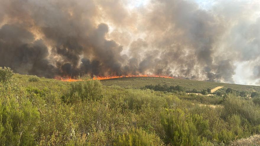 Los scouts harán voluntariado ambiental en las zonas afectadas por los incendios en verano de la Sierra de la Culebra