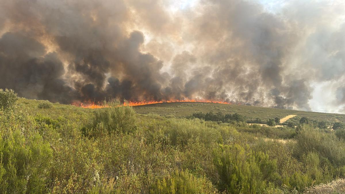 Incendio en Puercas, Zamora, en plena Sierra de la Culebra