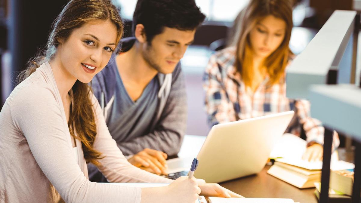 Programa dinamizador de empleo T-Acompañamos
