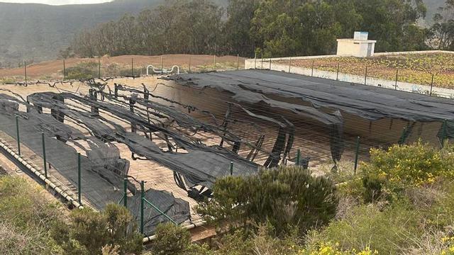 Estanque de Las Peñuelas, en el municipio de Tegueste. | | E.D.