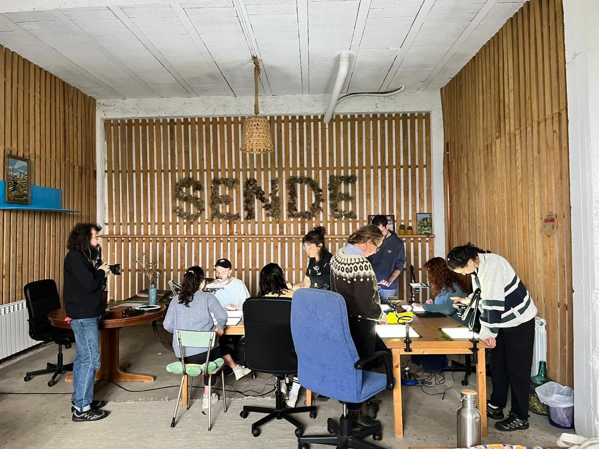 Jóvenes trabajando en el coliving de Sende.