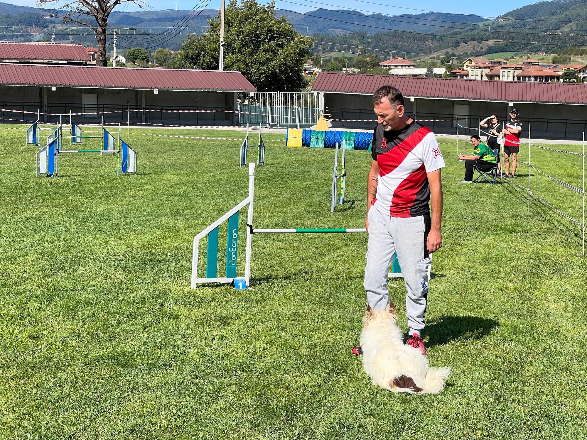 La prueba de la Liga Norte de Agility celebrada en Llanera, en imágenes