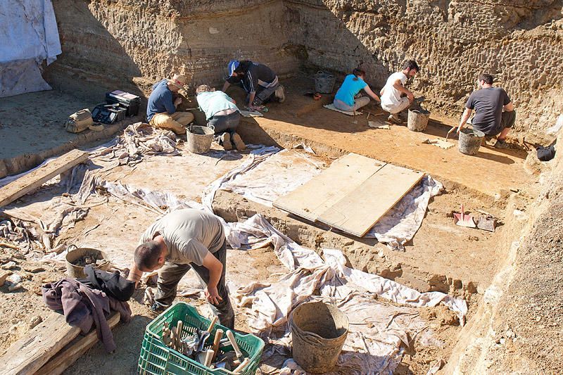 Els arqueòlegs troben un esquelet de tortuga i empremtes de fulles al Camp dels Ninots