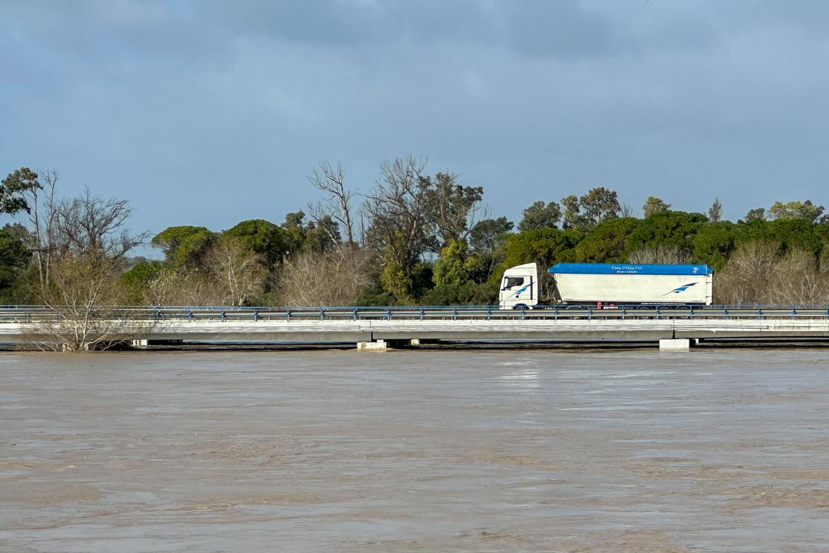 Vista de la crecida del Guadalete a su paso por la pedanía de El Portal, en Jerez de la Frontera.