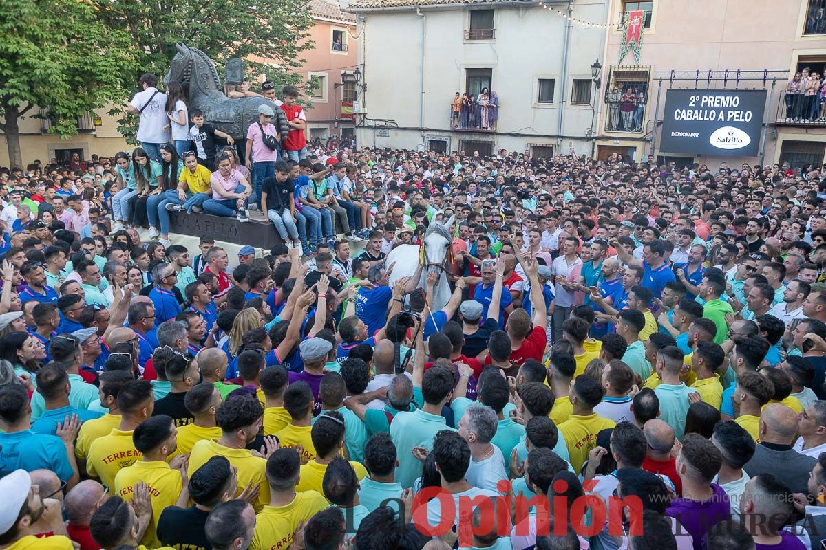 Entrega de premios del concurso morfológico de los Caballos del Vino de Caravaca