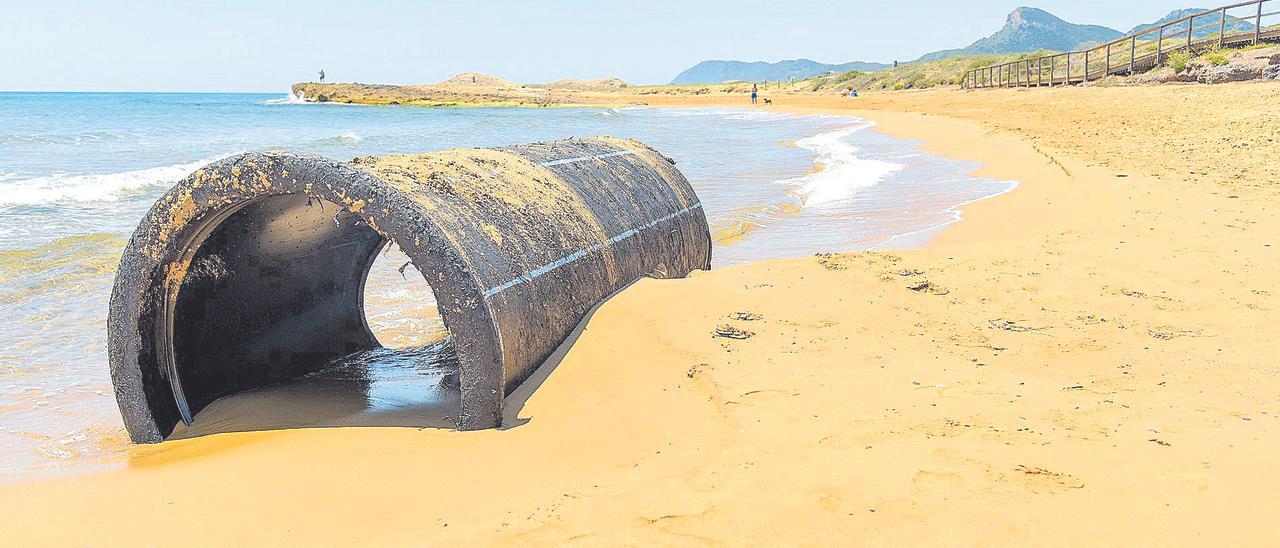 Fragmento del emisario que apareció hace unas semanas varado en las arenas de la playa de Calblanque.