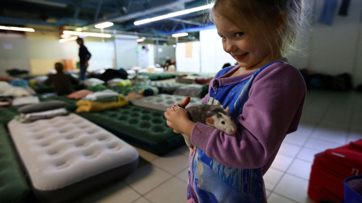 Olivia, de 2 años, sujeta su mascota Maja tras ser evacuada con sus padres desde Ucrania al improvisado centro de acogida en la localidad polaca de Rzeszow