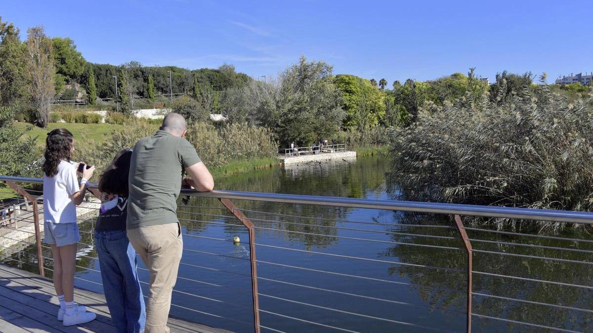 El parque de La Marjal de Alicante busca una mayor eficiencia frente al cambio climático
