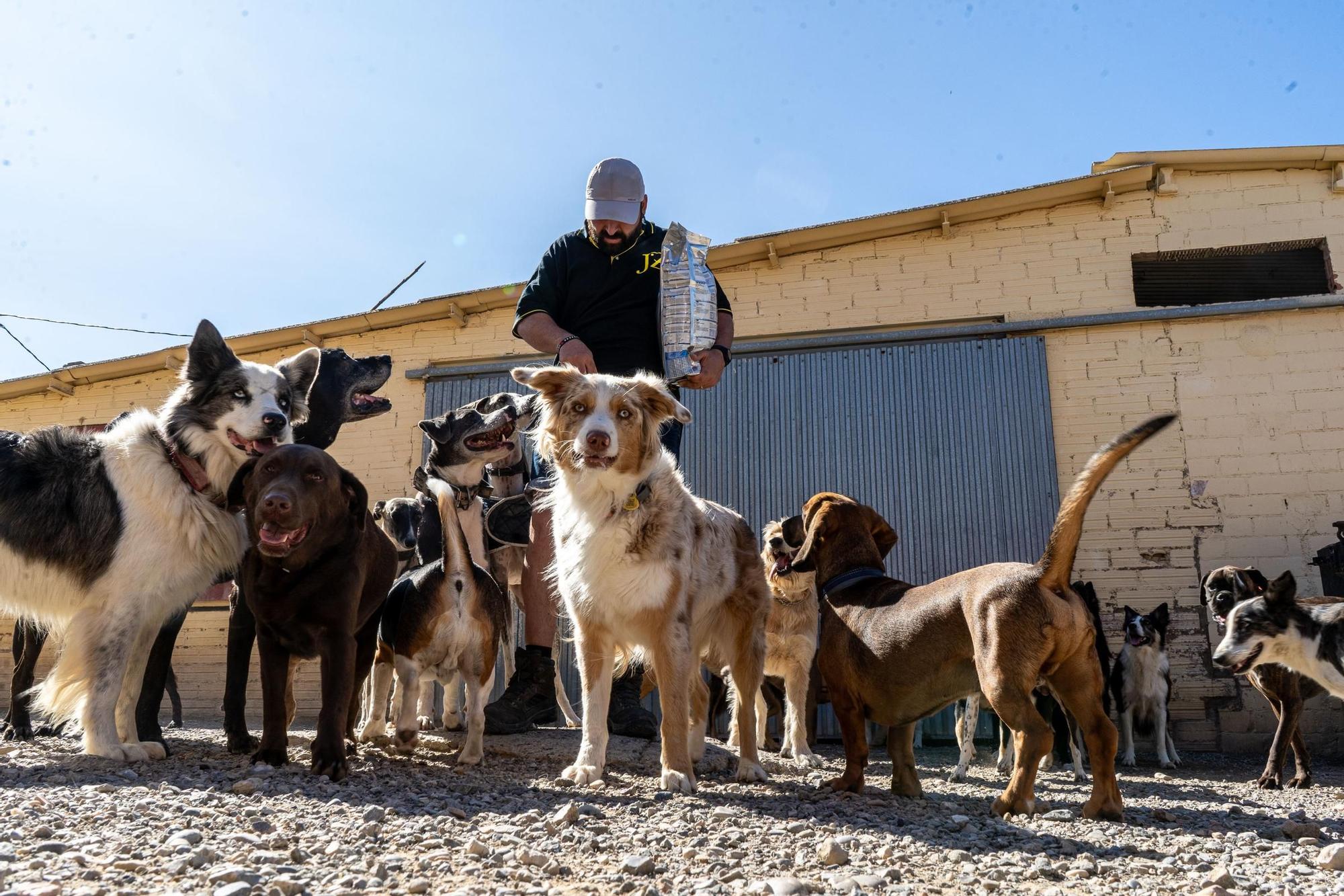 Residències canines: Centre Caní Jonatan Zafra, a Sant Fruitós de Bages