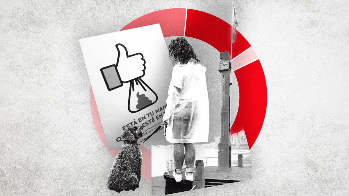 Las de quejas de los gijoneses a su Ayuntamiento: los ruidos y los perros encabezan la lista