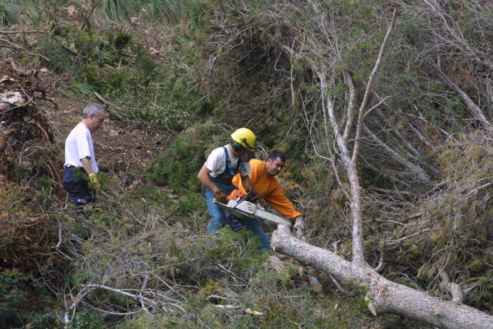 15 años del peor temporal de Mallorca (noviembre de 2001)