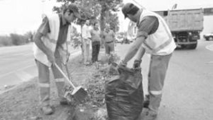 Comienza la limpieza integral del polígono industrial Charca Musia