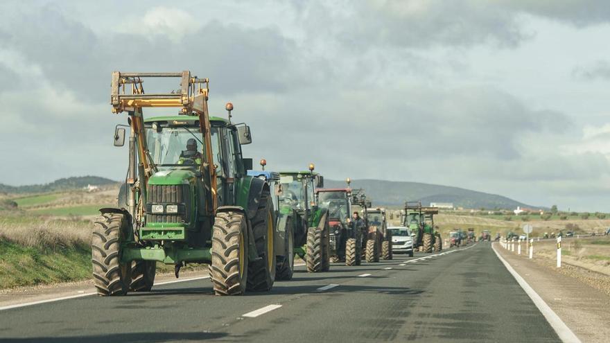 APAG Extremadura Asaja avisa de que parar Mercosur en la Eurocámara es un avance  “insuficiente”