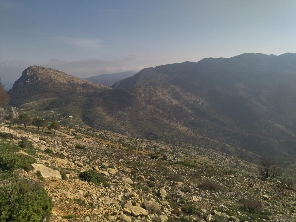 Desolación, erosión y bandadas de cuervos en las laderas del Coll de Rates arrasadas hace 8 meses por el fuego (imágenes) Desolación, erosión y bandadas de cuervos en las laderas del Coll de Rates arrasadas hace 8 meses por el fuego (imágenes)