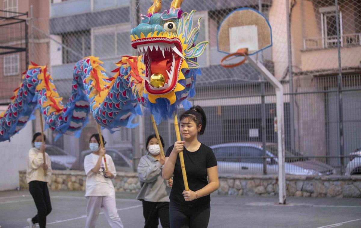 Los dos dragones chinos de Palma se llaman Montse (el azul) y Pep (el dorado). | GUILLEM BOSCH