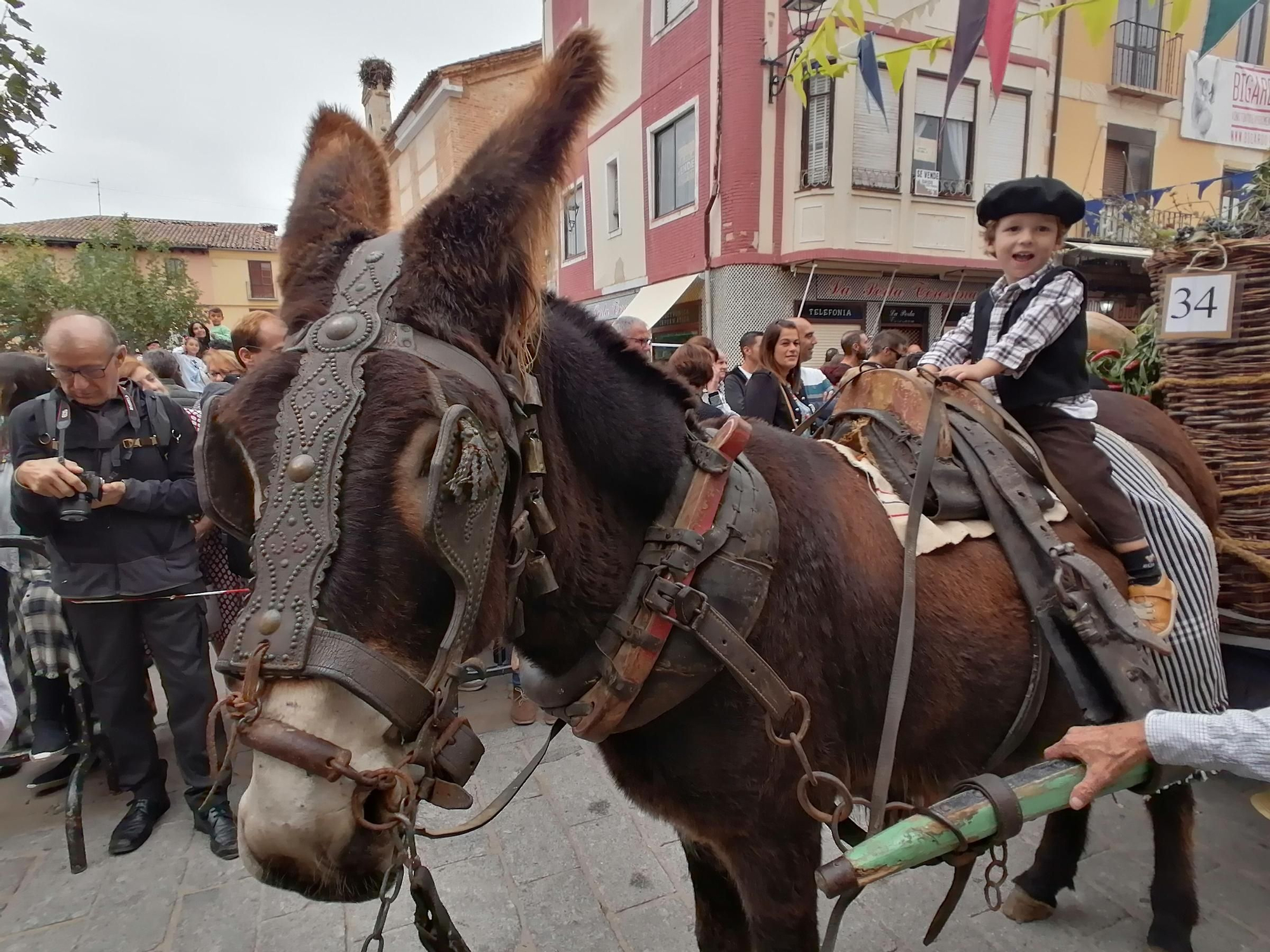 GALERÍA | Toro recrea la vendimia tradicional en el desfile de carros