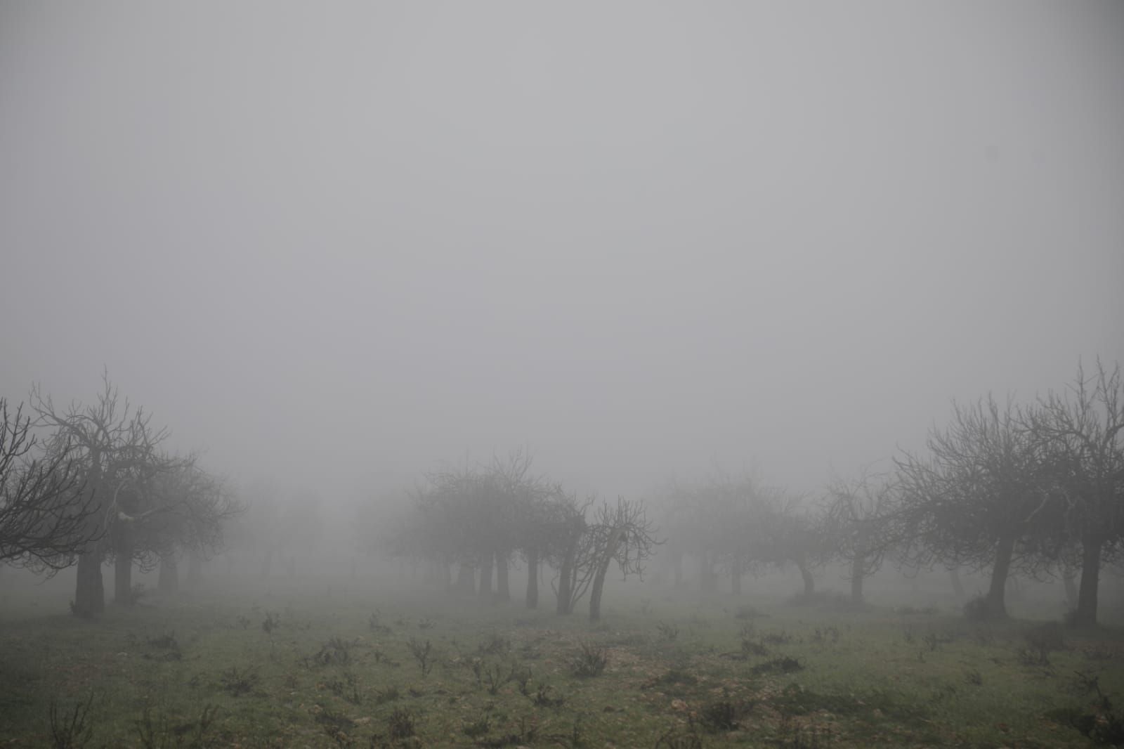 Mallorca amanece cubierta de niebla