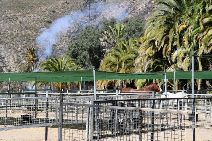 18/03/2019 FATAGA. SAN BARTOLOME DE TIRAJANA.  Incendio en Fataga, en la Finca Rural, Molino de Agua. Fotografa: YAIZA SOCORRO.  | 18/03/2019 | Fotógrafo: Yaiza Socorro